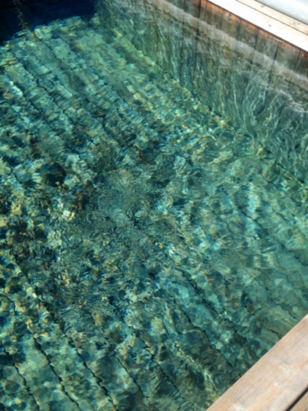 Location maison piscine Frjus Var Esterel Valescure.