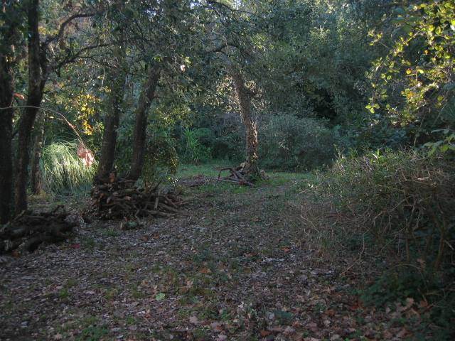 7/8 people French villa rental with pool in Frjus French riviera.