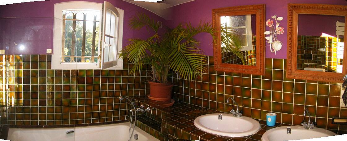 South villa rental with Garden and swimming pool,French riviera.
